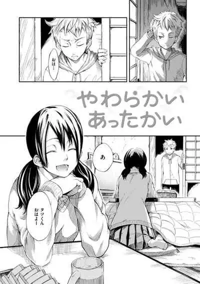 Hakozume Kinbaku Musume ga Ie ni Todoita node, Toriaezu Ecchi Shichaimashita