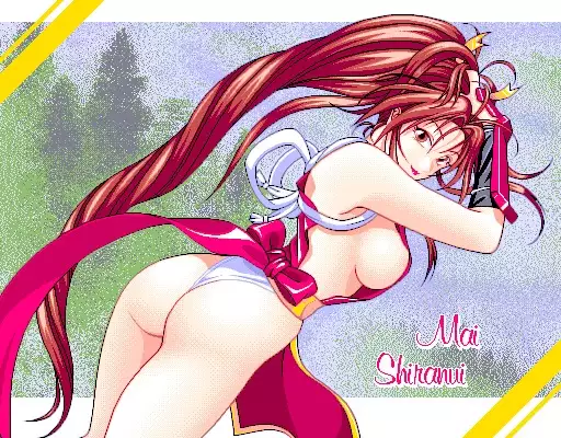 GRA-PRO Retro DoujinCG Set