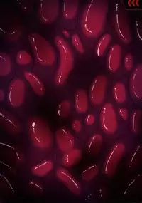 [R.c.W.d] Yami ni Otsu Kunoichi-tachi Third (Taimanin Asagi) [English] [Doujins.com]