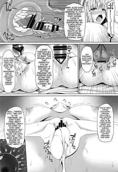 (C95) [Right away (Sakai Minato)] Koukyuu Shoufu Alice Settai Kyouiku (Touhou Project) English Translated
