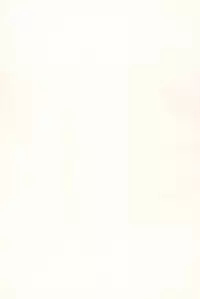 (C52) [Sancho Panda (PiYo, Kotono Wakako)] Muchuu ni Saseru Kare ga Suki (Bakusou Kyoudai Lets & Go!!)