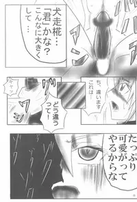 (Mimiket 19) [P.S.D! (Karin)] Touhou Ran Ranryuu (Touhou Project)