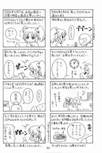 (C70) [Solex (Minamita Kana, Sanomako, Toku)] Rurimix SP5 (Various)