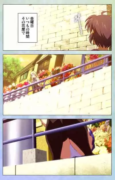 [LapisLazuli] [Full Color seijin Ban] Watashi no Kareshi wa Feti Player ~ Panshiri KneeSo Stocking ~ Complete Ban