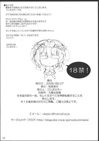 (SC45) [Yuugen Jikkou (Gonzaburou)] Es Sin Sentide (Touhou Project)