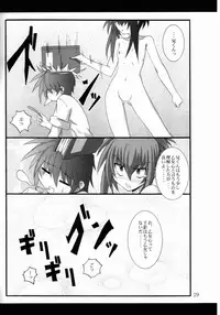 (C73) [Yoru no Benkyoukai (Fumihiro)] Vita no Hon 4 (Mahou Shoujo Lyrical Nanoha)