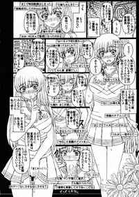(C84) [Shiawase Kyouwakoku (Shiawase no Katachi)] Shiawase no Katachi no Guruguru Netachou 84