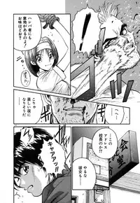 [Armadillo] Neko no Yurikago