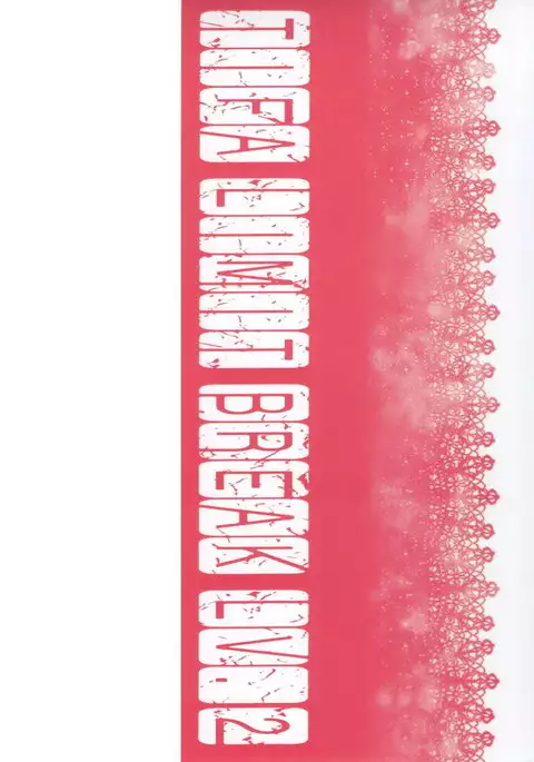 TIFA LIMIT BREAK LV.2