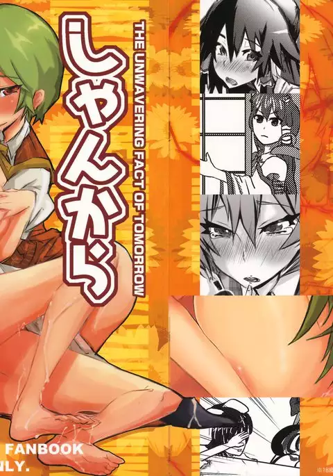 Shankara – The Unwavering Fact of Tomorrow