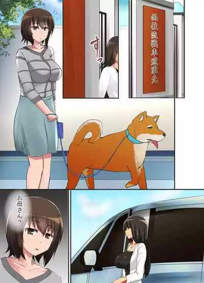 Hitozuma Nishizumi Shiho Netorare Soushuuhen