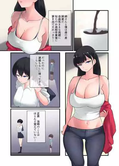 Ane no Shitagi de Onanie Shiteru no ga Bareta Otouto-kun ga Sonomama Amaama Gyaku Rape Sareru Ohanashi