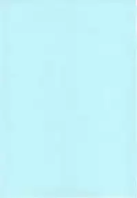 (C77) [r.i.s factory (Ruschuto)] Shin VIP Room!! (DREAM C CLUB)