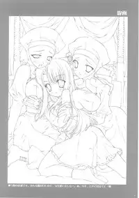 (C69) [ESSENTIA (Fujima Takuya)] Einzbern no Otometachi (Fate/hollow ataraxia)