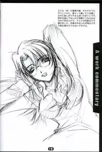 (C63) [RYU-SEKI-DO (Nagare Hyo-go)] KoToNoN (Mobile Suit Gundam series)