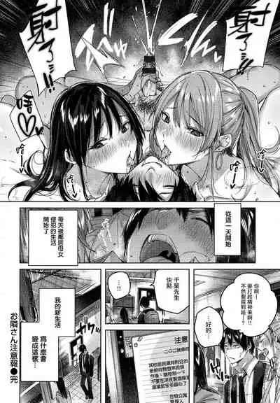 Shiko Splash + 4P Leaflet