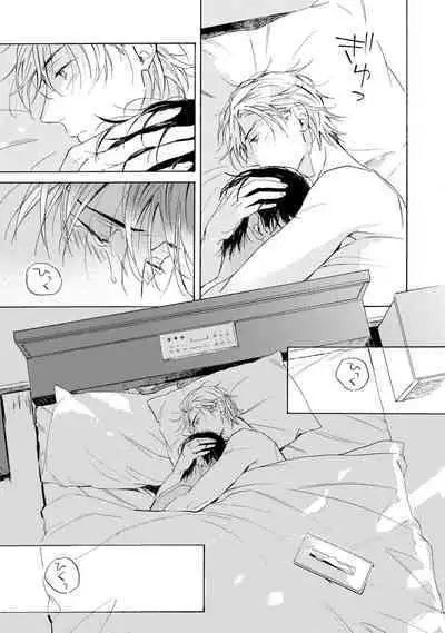 Ginmokusei no Shitateya