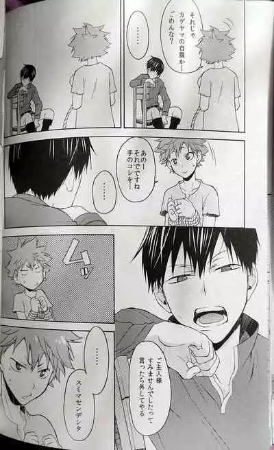 Kochira no Yuusha-sama Baiyakusumi to Natte Orimasu