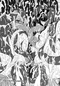 Shield Knight Elsain Vol. 12 NETHER LABORATORY 2