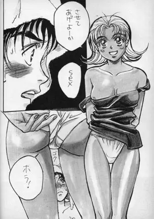 Piyoko no Pi Zoukan 3 TOKIMEKI TEKKEN BIO HAZARD