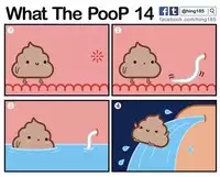 What the PooP [On Going]