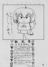 [Panic Attack In Sailor Q2 (RYÖ)] BRAND NEW SEASON (Neon Genesis Evangelion)