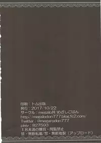 (Kouroumu 13) [megalodon (Mezashi Gohan)] Oji-san ga Koneko Saki Nyan o Hiroimashita (Touhou Project)