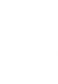 (C74) [Type-G (Ishigaki Takashi)] RDAD - Another Take (Mahou Shoujo Lyrical Nanoha StrikerS) [English] [SMDC]