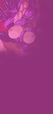 [MilkyBox （Qoopie）] Elf Hunting 4 ～ Dai Shi Maku Jutai Kokuchi ～ [English] [thetsuuyaku]