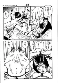 [Dan Oniroku, Osada Kaname] Hana to Hebi 2