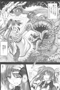 (C94) [Cyclone (Reizei, Izumi)] 1006 Nano - Cyclone no Soushuuhen (Mahou Shoujo Lyrical Nanoha)