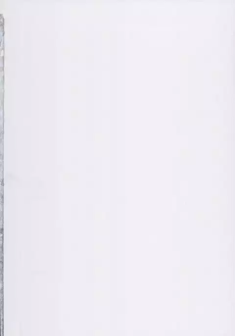 Delivery Succu!! - A report on ordering succubus escorts