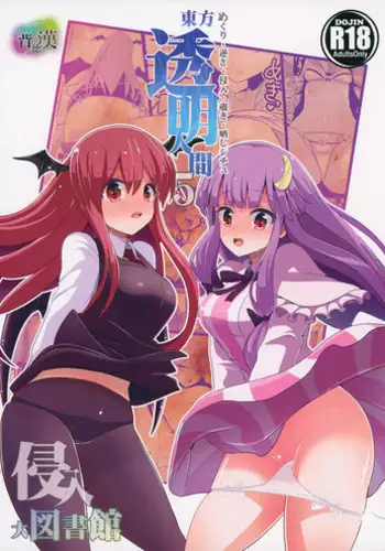 (Kouroumu 10) [Haitokukan (Haitokukan)] Touhou Toumei Ningen 5 Shinnyuu Daitosyokan (Touhou Project)