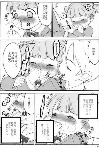 Shuukan Watashi no Onii-chan no Hon