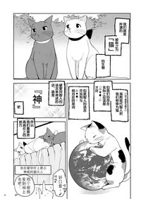 (Mou Nanimo Kowakunai 13) [Nedaore (Ayane)] Matometa no. (Puella Magi Madoka Magica) [Chinese] [吼姆喵个人汉化]