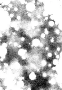 (C92) [Tenkirin (Kanroame)] Derenai Melt to Dorodorox (Fate/Grand Order) [Chinese] [CE家族社x天鵝之戀]