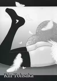 (C67) [KABAYAKIYA (Unagimaru)] RED SIDE (Fate/stay night)