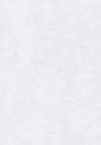 (C77) [Chihagura (Hachi, Chiaki)] Hime Otoshi (Touhou Project)