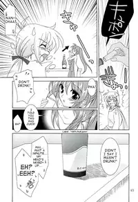 PLUM - Magical SEED Soushuuhen X [partially translated] [takehiro] (nanoha)