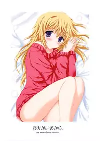 (C86) [SONIC WINTER (Tsukishima Kai)] Kimi ga Iru kara (Infinite Stratos) [English] [Rapid Switch]