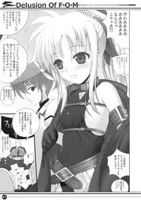 (C76) [40010 1-GO (40010 Prototype)] Delusion Of F・O・M - F・O・M no Mousou (Mahou Shoujo Lyrical Nanoha)