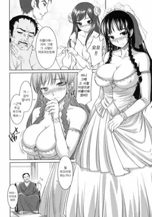 Ojousama wa H ga Osuki