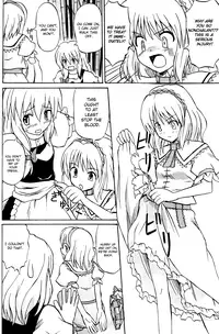 (C67) [Takaku-ya (Takaku Toshihiko)] Touhou Youjo Ranbu | Touhou Enchantresse's Dance (Touhou Project) [English]