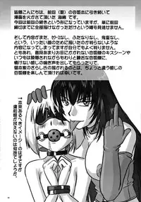 (C71) [Nozarashi (Nozarashi Satoru)] Gyakushuu no Kyouhime-sama