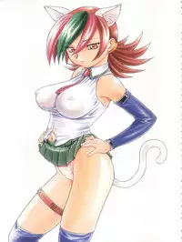 (C62) [Studio Wallaby (Nishitsuki Tsutomu)] Nishitsuki Recycle (Various)