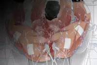 [UNDEAD WORLD (Hashimoto Yuuto)] Danshi Koukousei Kankinroku ~Ore no Shinyuu wa Seishori Pet~