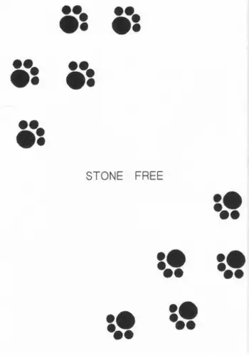 (CR33) [BLACK DOG (Kuroinu Juu)] STONE FREE (Jarinko Chie) [Chinese]
