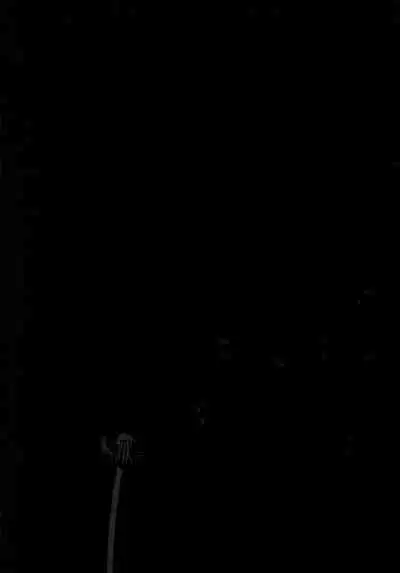 Yomi no Machi | 黃泉之街