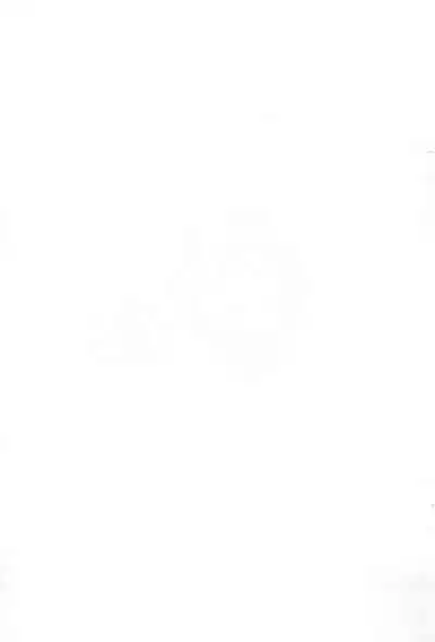 (Puniket 13) [rabbit syndrome (rabbit)] Chotto Otona-muke