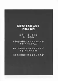 [TAIL OF NEARLY (Various)] Yougo Dai Juuni dan Hyakudan Hachikyuu / SHADOW DEFENCE 12 (Street Fighter)